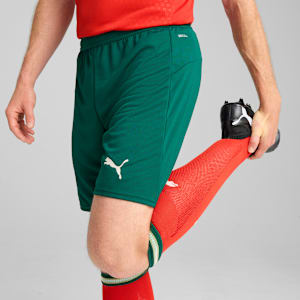 Portugal 2025 Men's Football Shorts, Blessing Green-Sugared Almond, extralarge-IND