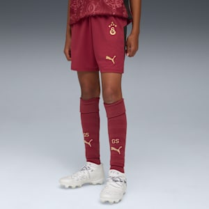 Galatasaray SK 25/26 Shorts Youth, Team Regal Red-Puma Team Gold, large-GBR