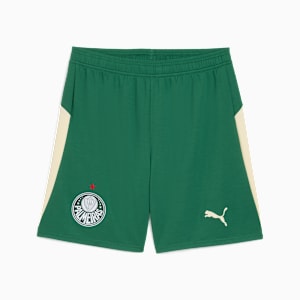 PUMA X KIDSUPER Replica Men's Breathable Football Shorts, Vine-Alpine Snow, extralarge-IND