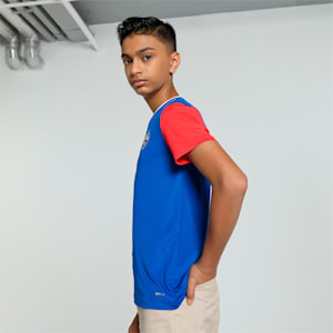 PUMA x DC 2024 Youth Fan Jersey, For All Time Red-Strong Blue, extralarge-IND