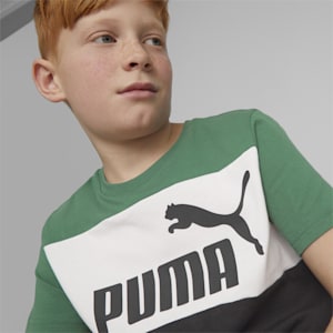Colourblock Youth Regular Fit T-Shirt, Vine, extralarge-IND
