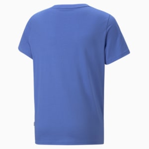 Colourblock Youth Regular Fit T-Shirt, Royal Sapphire, extralarge-IND