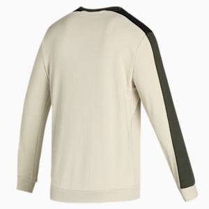 Colorblock Men's Regular Fit Sweatshirt, Putty, extralarge-IND
