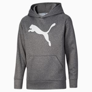 Classics Cat Logo Little Kids Hoodie PUMA