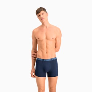 boxer puma