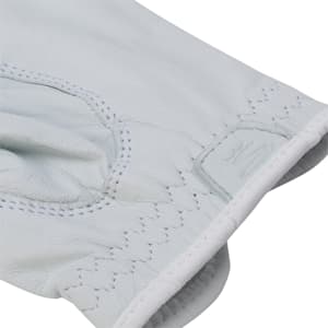 Men's Golf Pur Tour LH 21' Gloves, WHITE, extralarge-IND