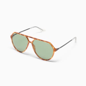 Gafas de sol Nostalgia Lifestyle, Havana Black green, extralarge