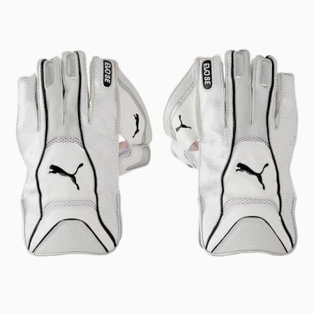 EVO SE Wicket Keeper glove, Puma White-Puma Black, small-IND