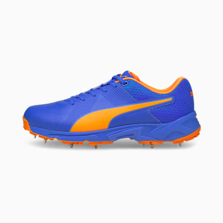 puma 19.2 spike cricket shoes