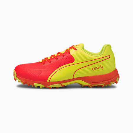 Puma new cricket shoes