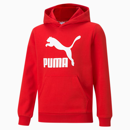 Puma Sudadera Niño ESS+ COLORBLOCK 849081