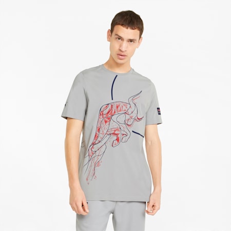Tienda puma red bull