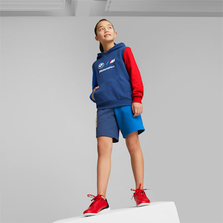 BMW M Motorsport ESS Hoodie Jugend, Pro Blue-M Color, small