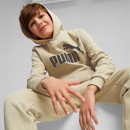 Felpa con cappuccio e logo grande Essentials Youth, Granola, small