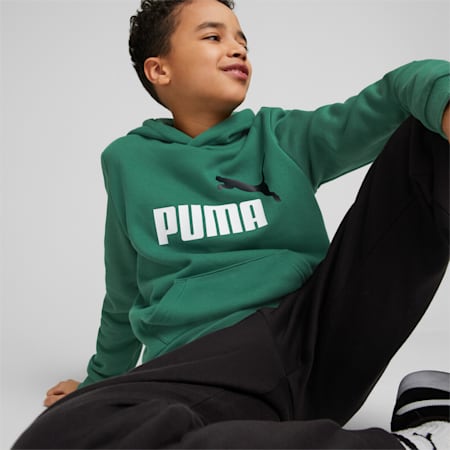 Sweat à capuche Essentials+ Two-Tone Big Logo Enfant et Adolescent, Vine, small