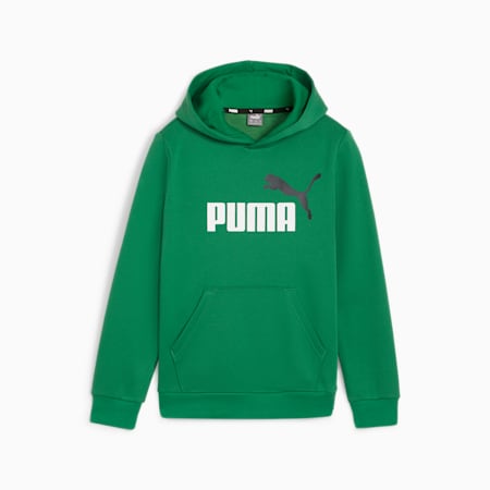 Sudadera juvenil con capucha Essentials+ Two-Tone Big Logo, Archive Green, small