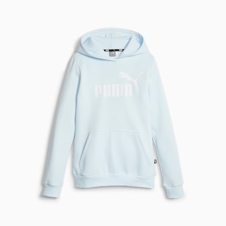 Essentials Logo Youth Hoodie, Icy Blue, small