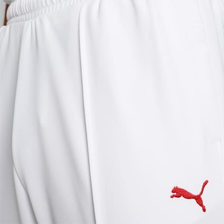 Cricket Team Men's Regular Fit Pants, PUMA White, small-IND