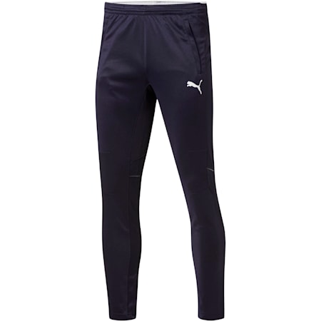 puma mens speed pants