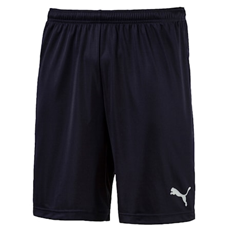 ftblPLAY Men's Shorts, Puma New Navy, small-PHL