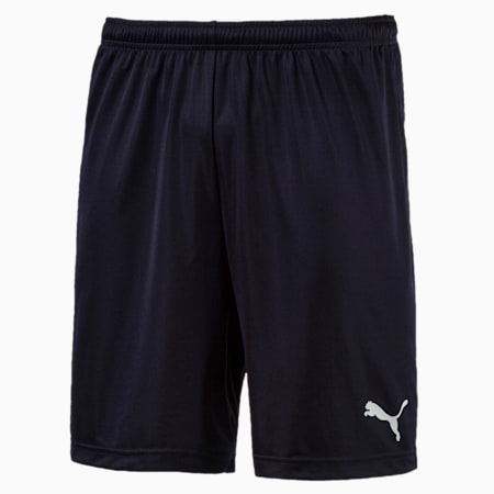 ftblPLAY Men's Shorts, Puma New Navy, small-SEA