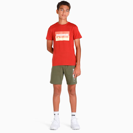 Graphic Box Logo Youth Regular Fit T-Shirt, Chili Oil, small-IND