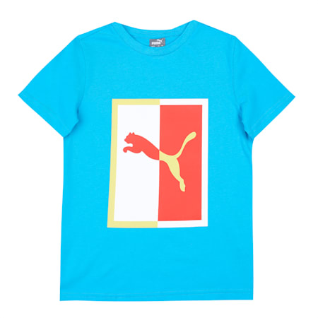 Graphic Box Logo Youth Regular Fit T-Shirt, Ocean Dive, small-IND
