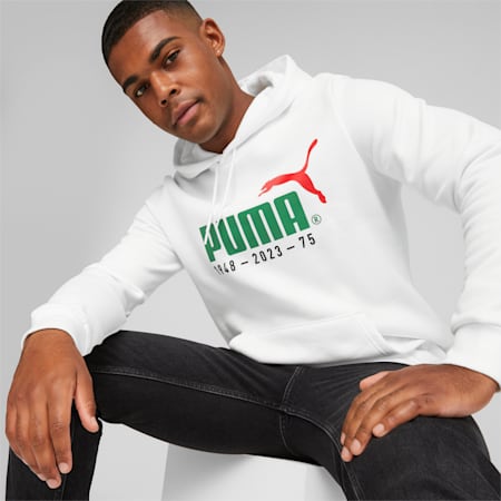 No.1 Logo Celebration Men's Hoodie, PUMA White, small-AUS