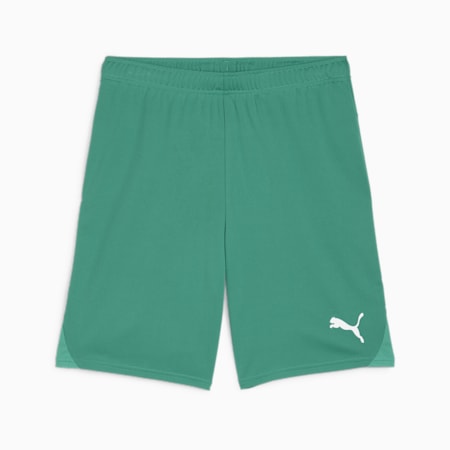 teamGOAL Men's Football Shorts, Sport Green-PUMA White, small-THA