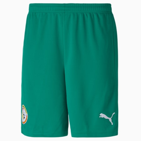 Senegal Home Replica Men's Football Shorts, Pepper Green-Puma White, small-GBR