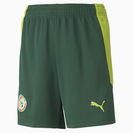 Senegal Away Replica Youth Football Shorts, Dark Green-Limepunch, small