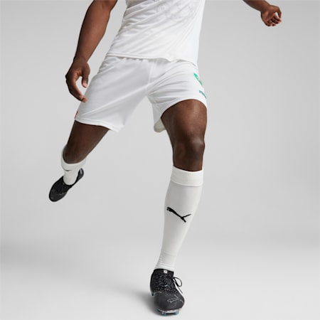 PUMA Maroc Maillot d'Entraînement 2022-2024 Blanc Argenté 