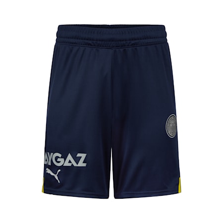 Puma shorts mens best sale silver