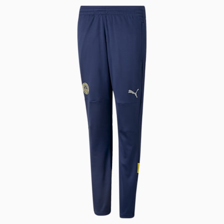 Pantalon d’entraînement de foot Fenerbahçe S.K. Enfant et Adolescent, Medieval Blue-Blazing Yellow, small