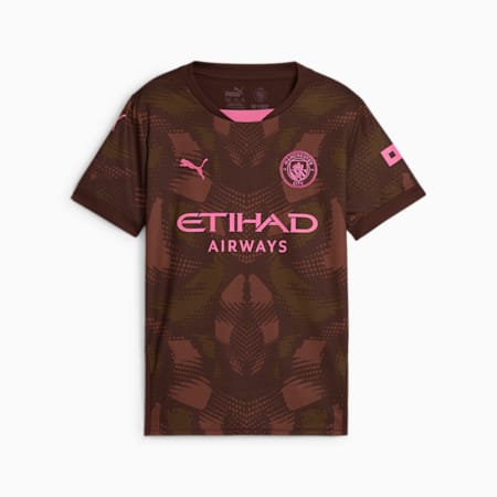 Manchester City 24/25 Goalkeeper Short Sleeve Jersey Youth, Espresso Brown-Wild Willow, small