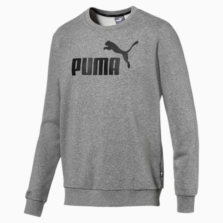 Puma公式 メンズ スウェット パーカー プーマオンラインストア