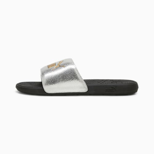 Holographic puma slides store