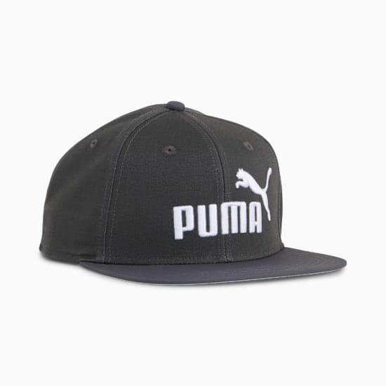 Grey PUMA cap with a flat brim and white logo on the front.