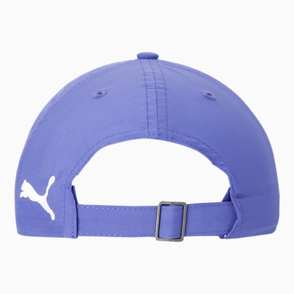 Cricket Training Cap, Royal Blue-Puma Silver, extralarge-IND