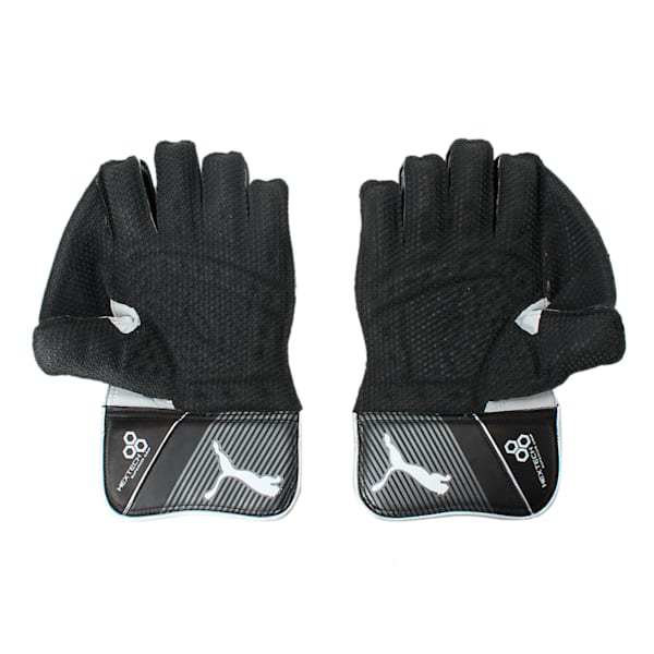 EVO SE Wicket Keeper glove, Puma Black-Gold-Puma White, extralarge-IND