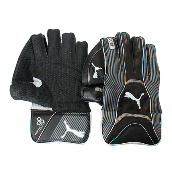 EVO SE Wicket Keeper glove, Puma Black-Gold-Puma White, extralarge-IND