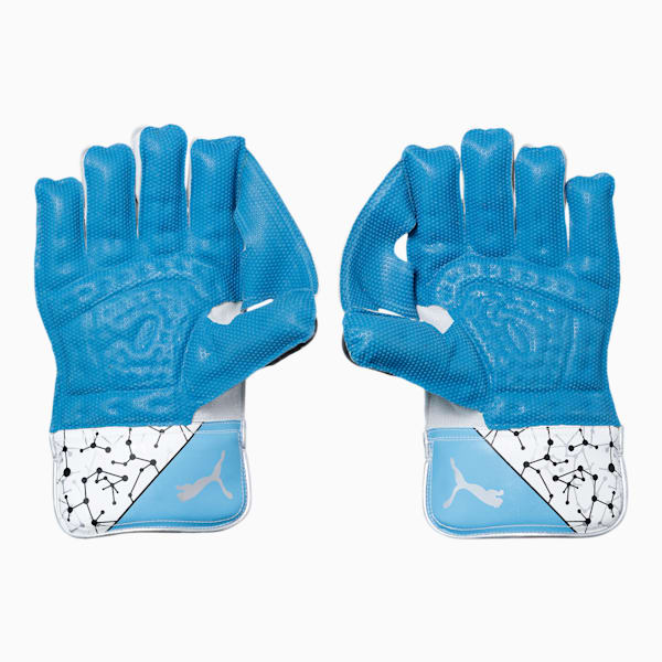 PUMA Future 20.2 Cricket Wicket Keeping Gloves, Ethereal Blue-Puma Black-Silver, extralarge-IND