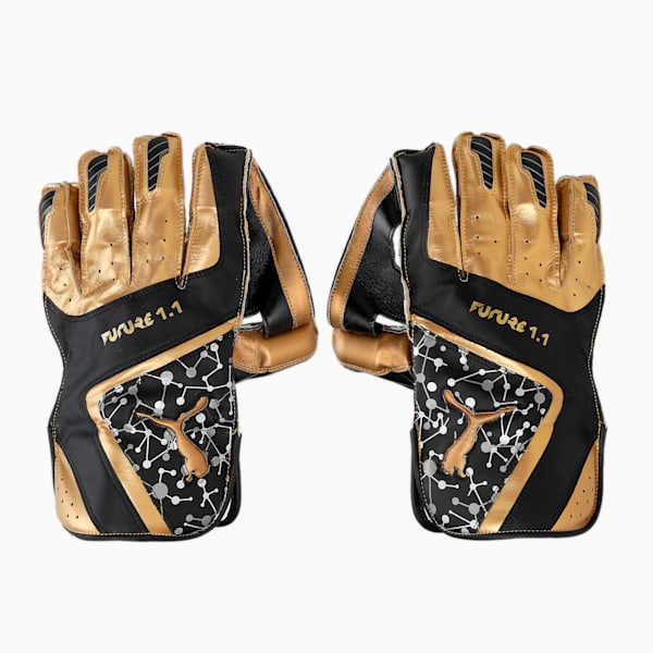 Future 1.1 Cricket Wicket Keeping Gloves, PUMA Black, extralarge-IND