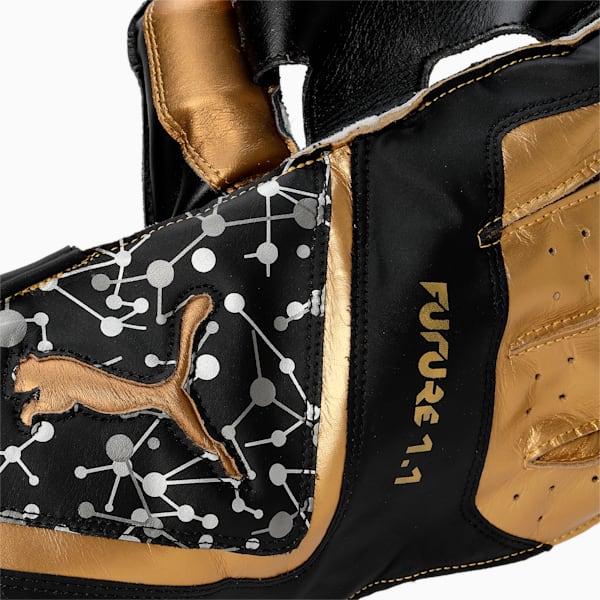 Future 1.1 Cricket Wicket Keeping Gloves, PUMA Black, extralarge-IND