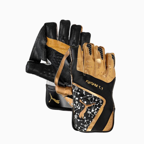 Future 1.1 Cricket Wicket Keeping Gloves, PUMA Black, extralarge-IND