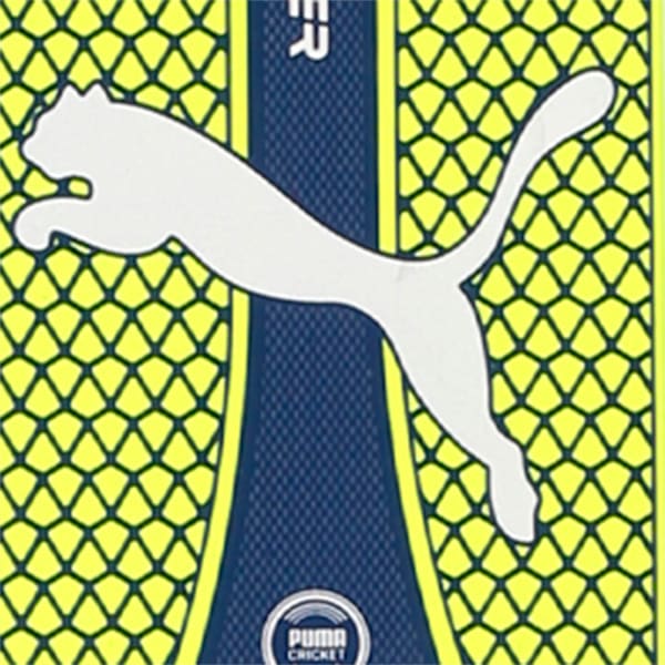 evoPOWER 3.17 Cricket Bat, Yellow-Blue-Silver, extralarge-IND