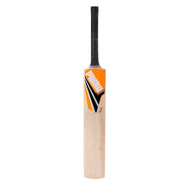 Future 1.1 Kashmir Willow SNR Cricket Bat, Fluo Orange, extralarge-IND