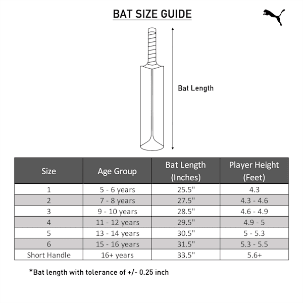 Future 1.3 Cricket Bat, Neon Citrus-Bluemazing, extralarge-IND