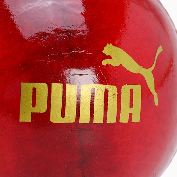 PUMA Cricket Ball, Intense Red, extralarge-IND