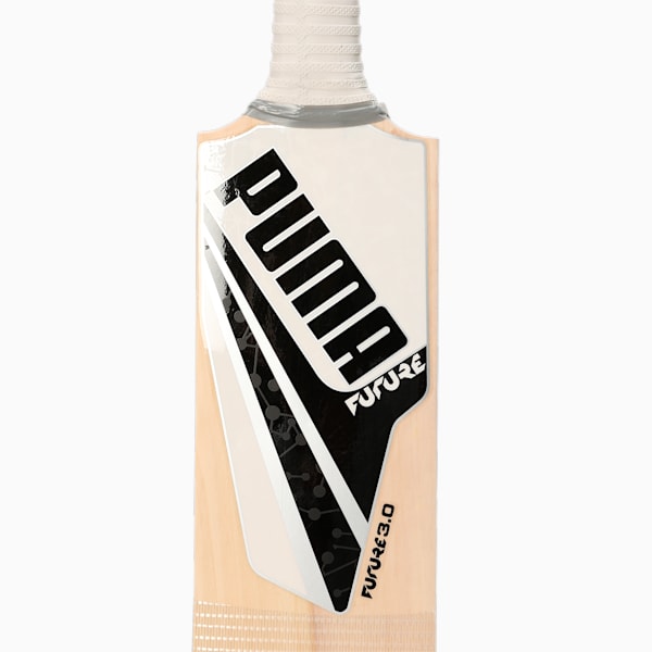 Future 3.1 Kashmir Willow Cricket Bat, PUMA White, extralarge-IND